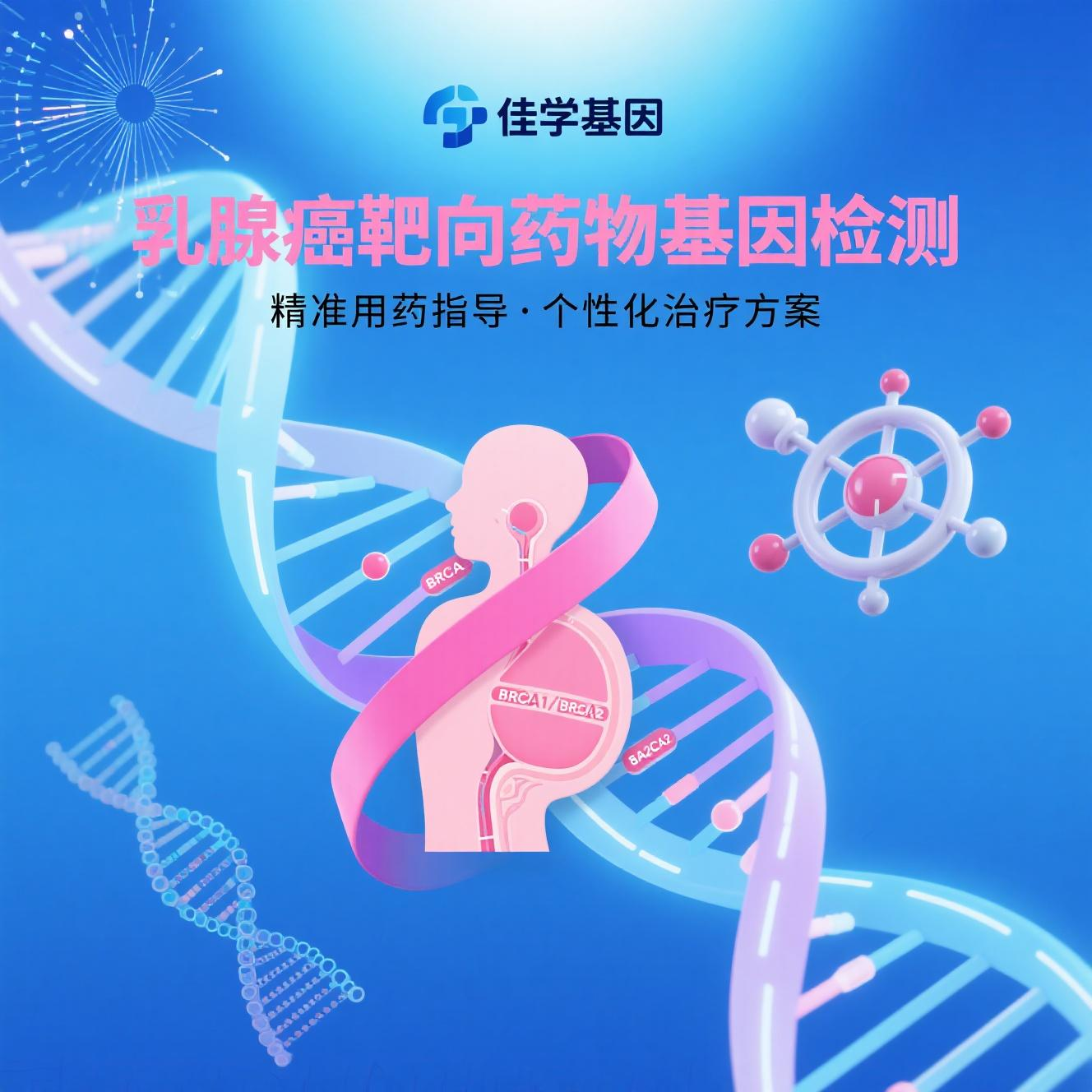 【极悦娱乐极悦基因检测】乳<font color='red'>腺癌</font>精准治疗新突破：靶向药物基因检测的现状与未来