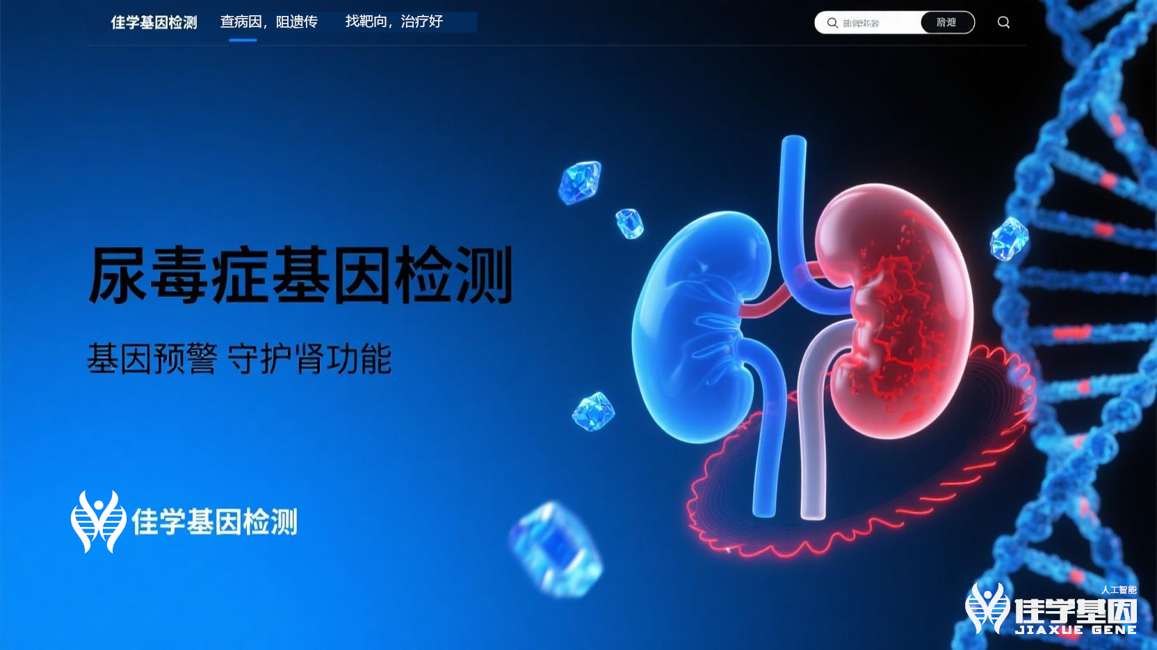 【极悦娱乐极悦基因检测】<font color='red'><font color='red'>尿毒症</font></font>基因检测寻找治疗靶点