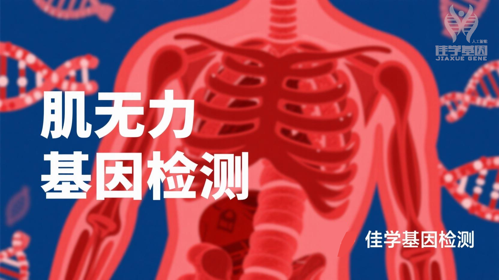 【极悦娱乐极悦基因检测】先天性<font color='red'><font color='red'>肌无力</font></font>综合症16型基因检测需要查染色体突变吗？