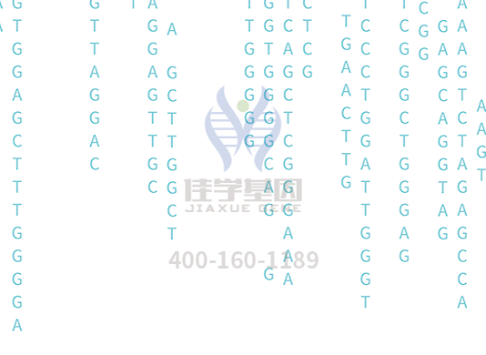 【极悦娱乐极悦基因检测】<font color='red'><font color='red'>庞贝</font>氏</font>症（Pompe disease)基因解码、基因检测