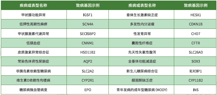 【极悦娱乐极悦基因检测】<font color='red'><font color='red'>内分泌</font>及<font color='red'>代谢</font><font color='red'>系统</font><font color='red'>疾病</font></font>致病基因鉴定基因解码