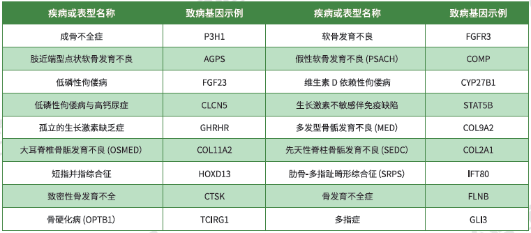 【极悦娱乐极悦基因检测】<font color='red'><font color='red'>骨骼</font><font color='red'>系统</font><font color='red'>疾病</font></font>致病基因鉴定基因解码